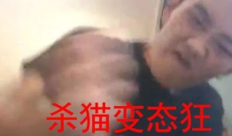 杀猫视频,杀猫视频引发的伦理反思