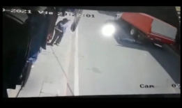 起碰视频在线观看